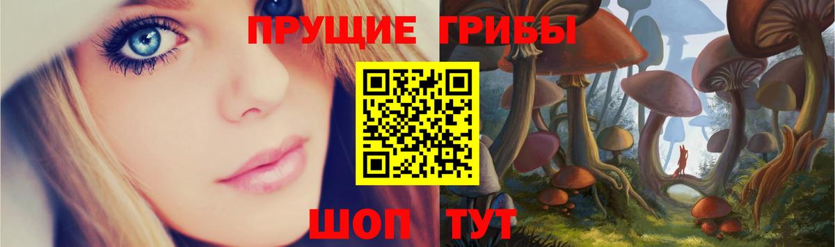 Новый Уренгой  Галлюциногенные грибы ЛСД  Вход с VPN  Галлюциногенные грибы Psilocybine cubensis 